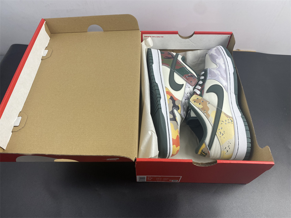 Dunk Low SE Sail Multi-Camo DH0957-100