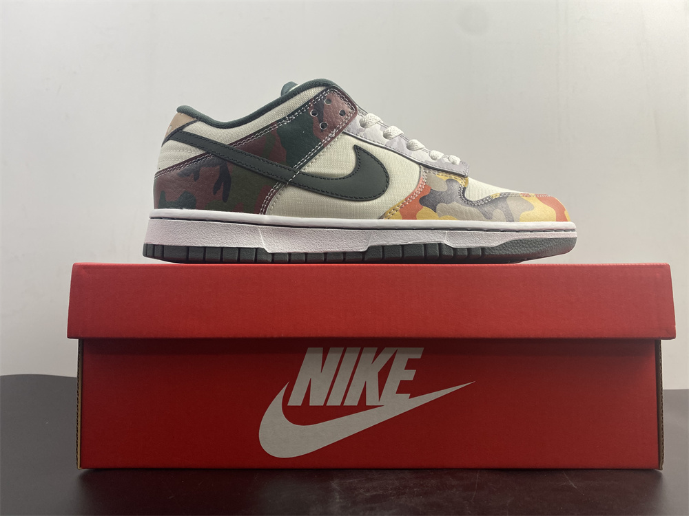 Dunk Low SE Sail Multi-Camo DH0957-100
