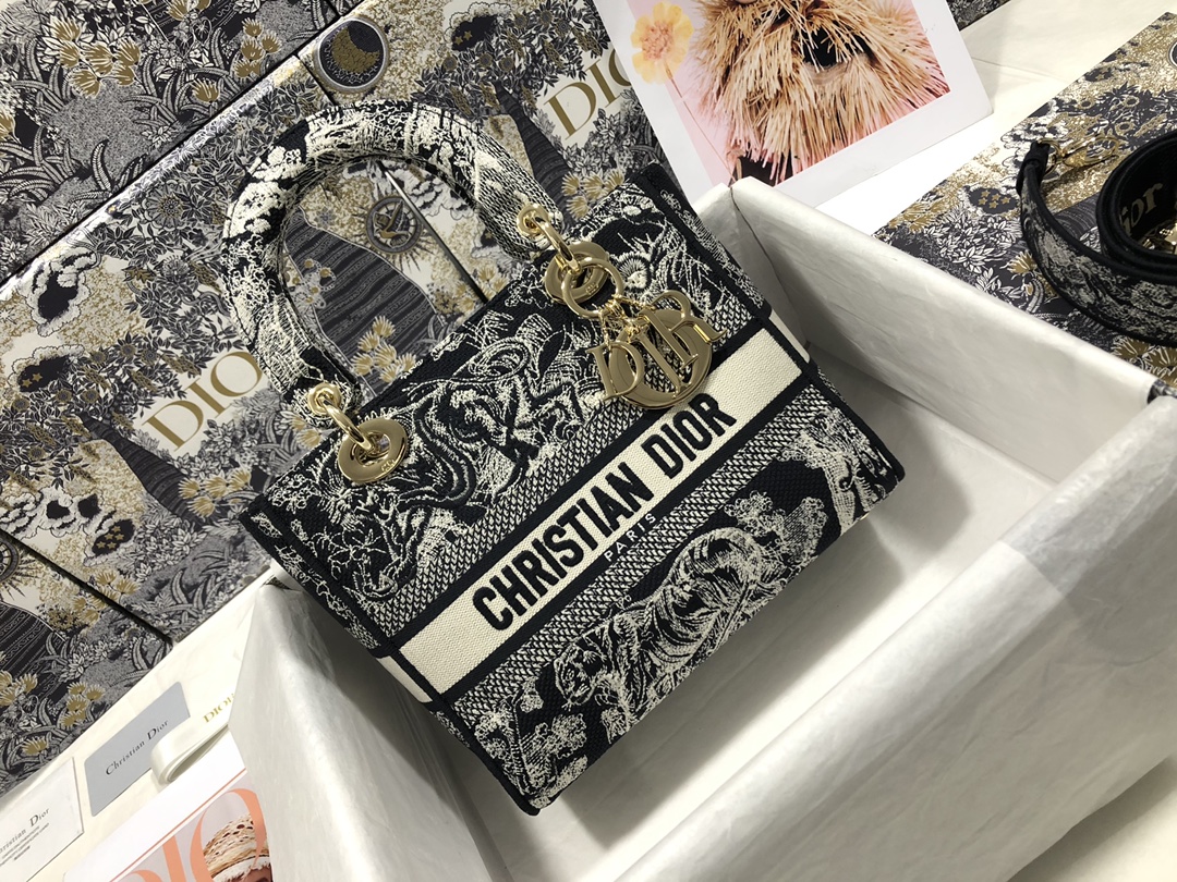 lady D*or bag-24*20*11cm