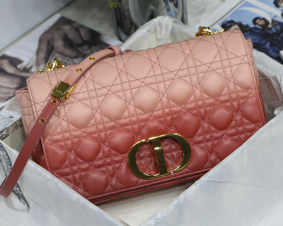 D*or 2021 caro bag-28*17*9cm