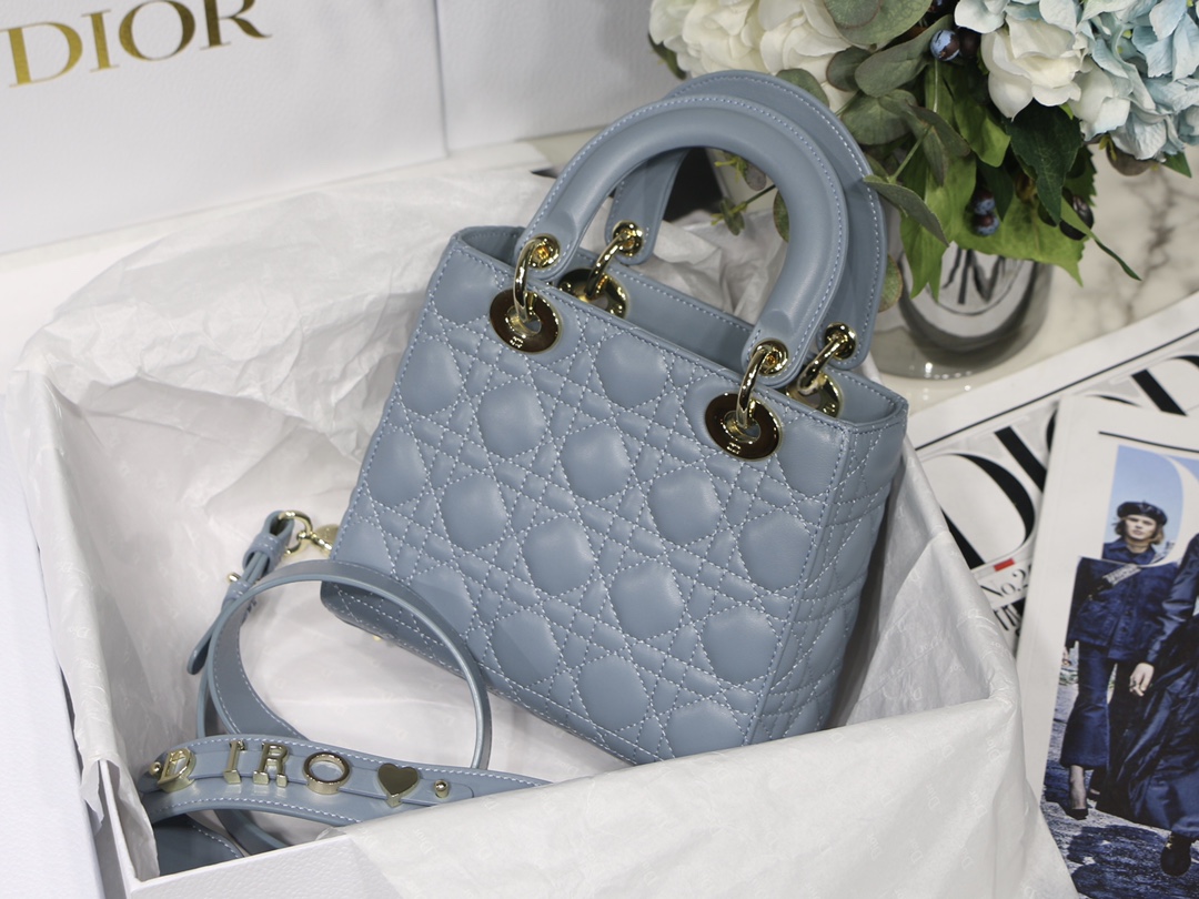 lady D*or handle bag-24cm