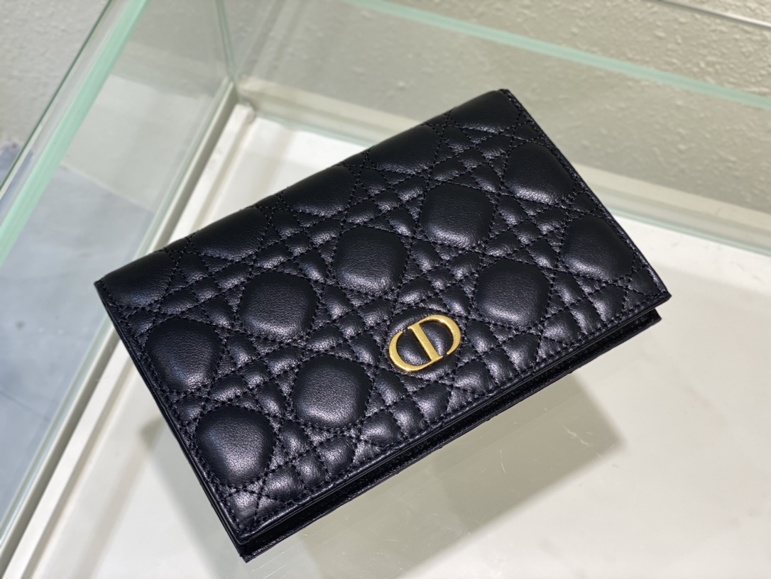 D*or caro wallet-19.5cm
