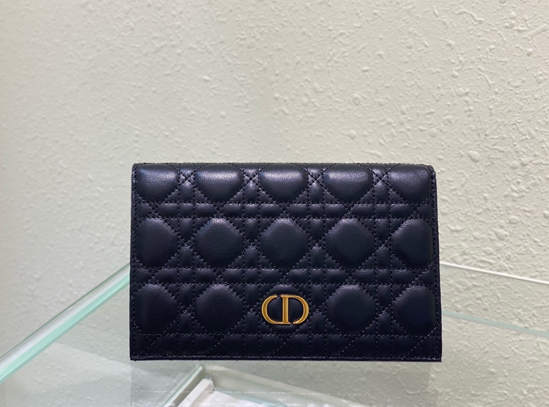 D*or caro wallet-19.5cm