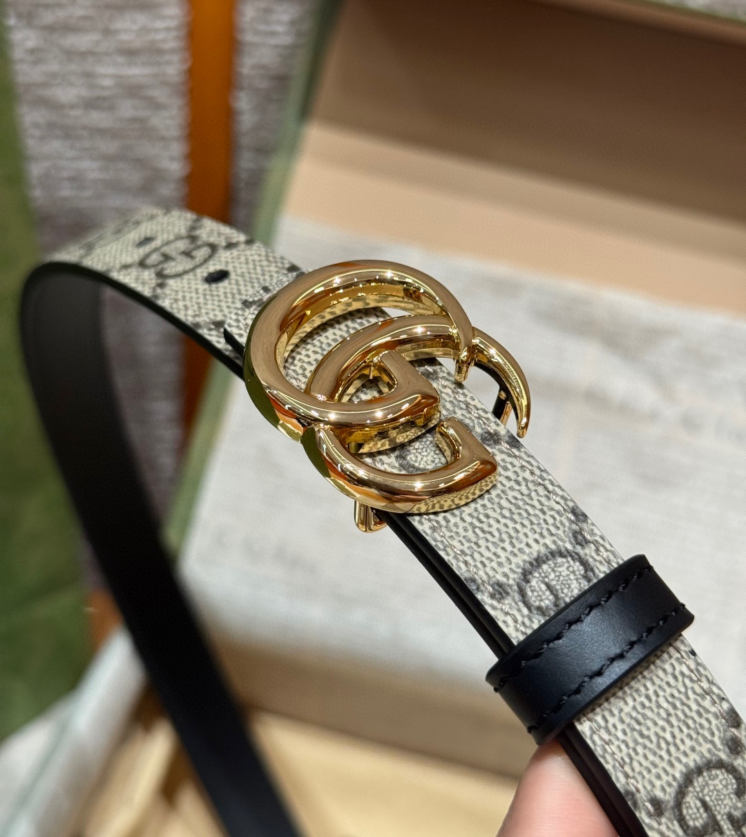 Gvc*1 Belt-2CM
